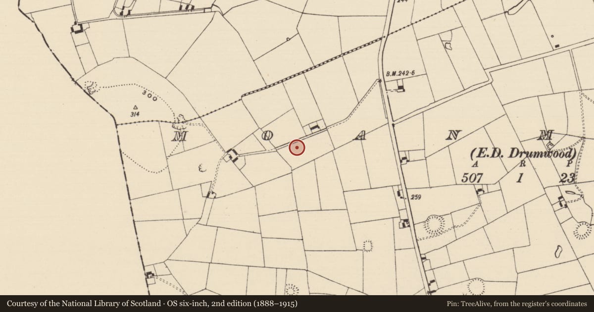 Ordnance Survey six-inch map, 2nd edition (1888–1915) covering the location of Enclosure, Moanmore (Solloghodmore Par.), County Tipperary South, with a pin at the register's coordinates