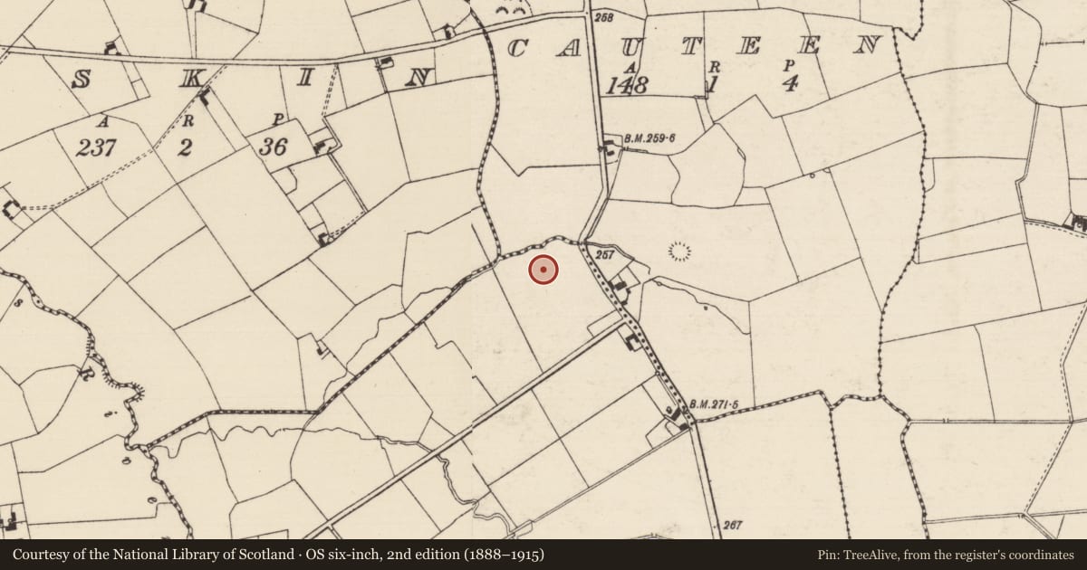 Ordnance Survey six-inch map, 2nd edition (1888–1915) covering the location of Enclosure, Barnanalleen, County Tipperary South, with a pin at the register's coordinates