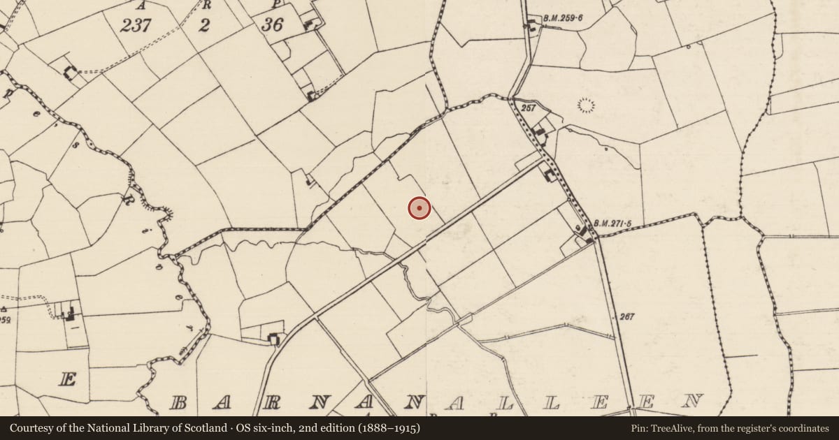 Ordnance Survey six-inch map, 2nd edition (1888–1915) covering the location of Barrow - ring-barrow, Barnanalleen, County Tipperary South, with a pin at the register's coordinates