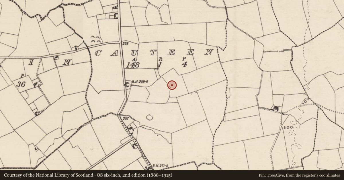 Ordnance Survey six-inch map, 2nd edition (1888–1915) covering the location of Enclosure, Cauteen, County Tipperary South, with a pin at the register's coordinates