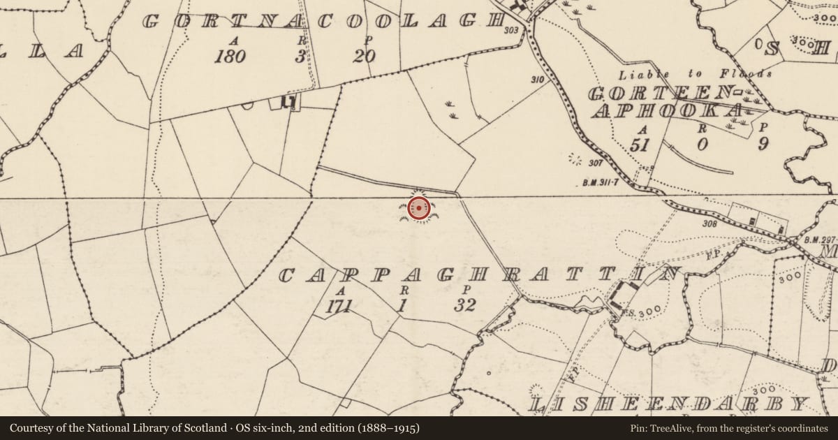 Ordnance Survey six-inch map, 2nd edition (1888–1915) covering the location of Enclosure, Cappaghrattin, County Tipperary South, with a pin at the register's coordinates