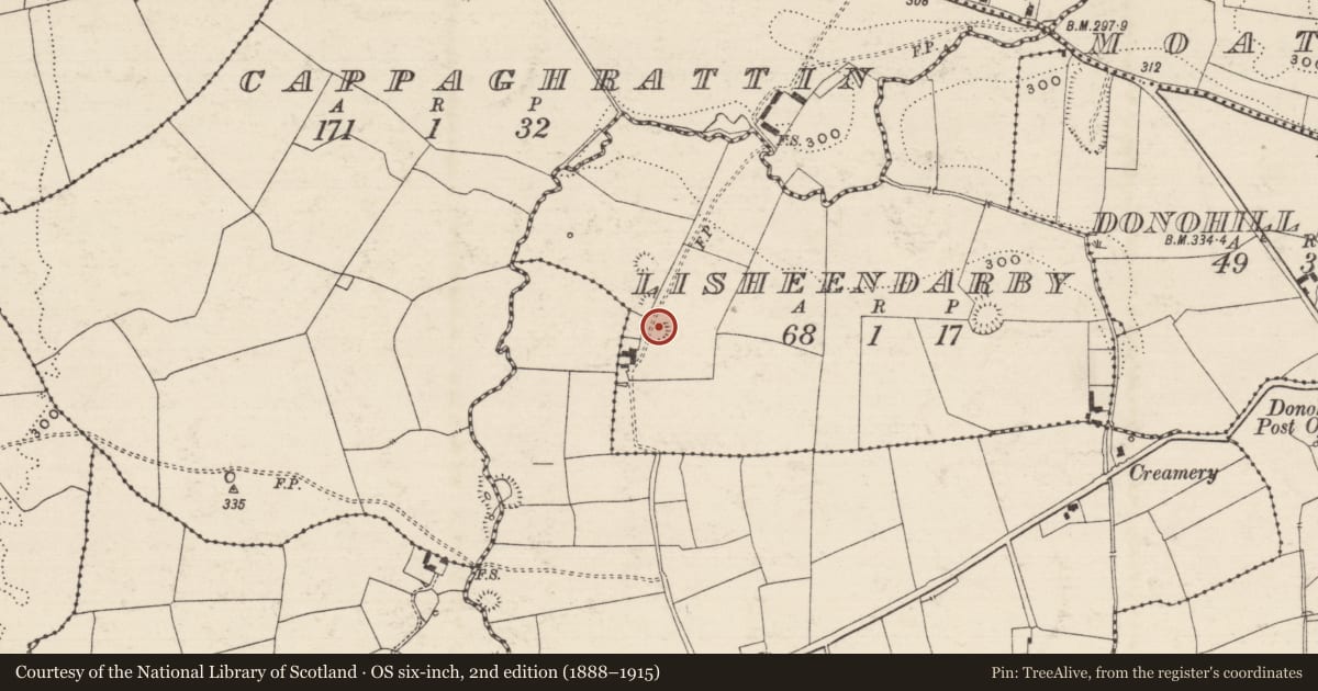 Ordnance Survey six-inch map, 2nd edition (1888–1915) covering the location of Enclosure, Lisheendarby, County Tipperary South, with a pin at the register's coordinates