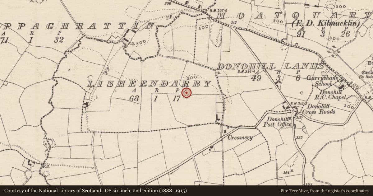 Ordnance Survey six-inch map, 2nd edition (1888–1915) covering the location of Ringfort - rath, Lisheendarby, County Tipperary South, with a pin at the register's coordinates
