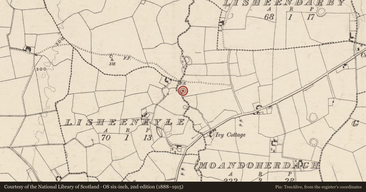 Ordnance Survey six-inch map, 2nd edition (1888–1915) covering the location of Ringfort - rath, Moandoherdagh, County Tipperary South, with a pin at the register's coordinates