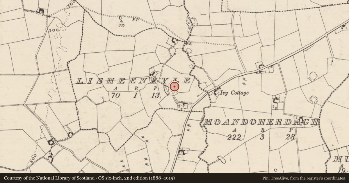Ordnance Survey six-inch map, 2nd edition (1888–1915) covering the location of Enclosure, Lisheenkyle, County Tipperary South, with a pin at the register's coordinates