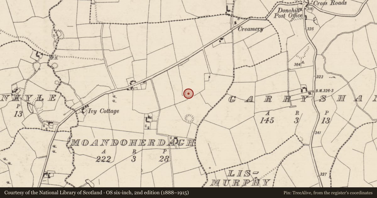 Ordnance Survey six-inch map, 2nd edition (1888–1915) covering the location of Enclosure, Moandoherdagh, County Tipperary South, with a pin at the register's coordinates