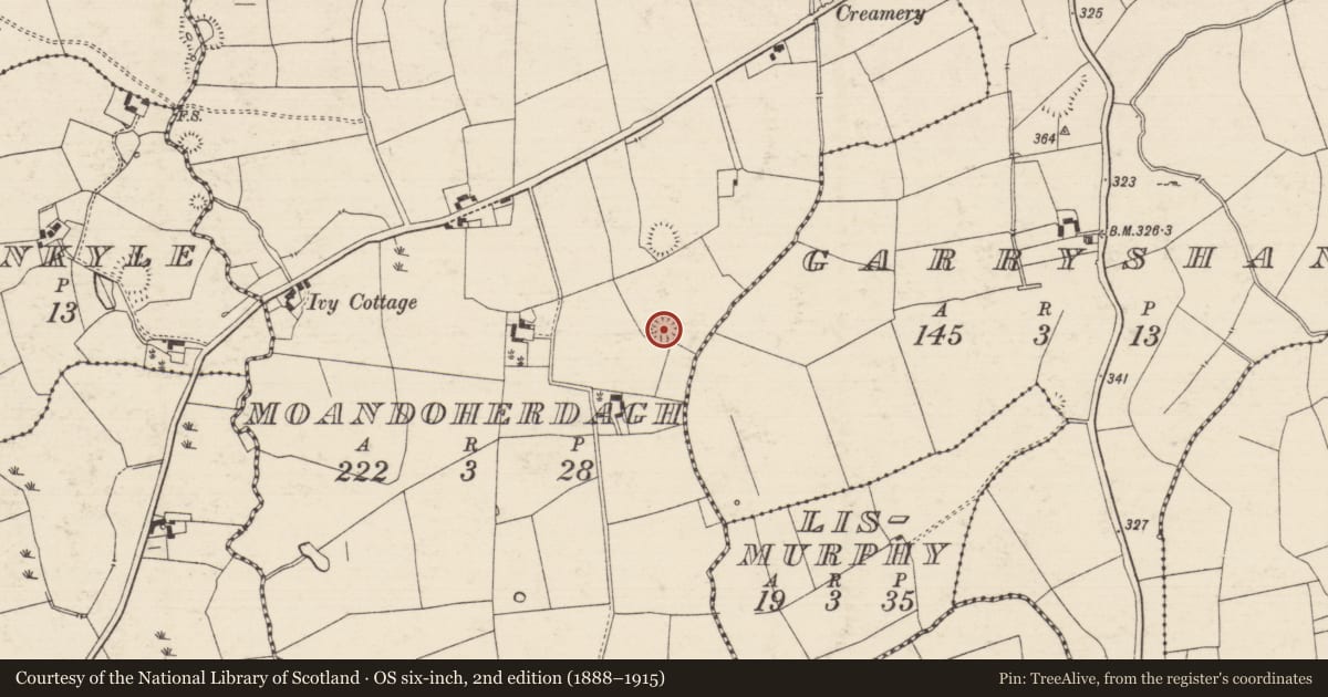 Ordnance Survey six-inch map, 2nd edition (1888–1915) covering the location of Enclosure, Moandoherdagh, County Tipperary South, with a pin at the register's coordinates