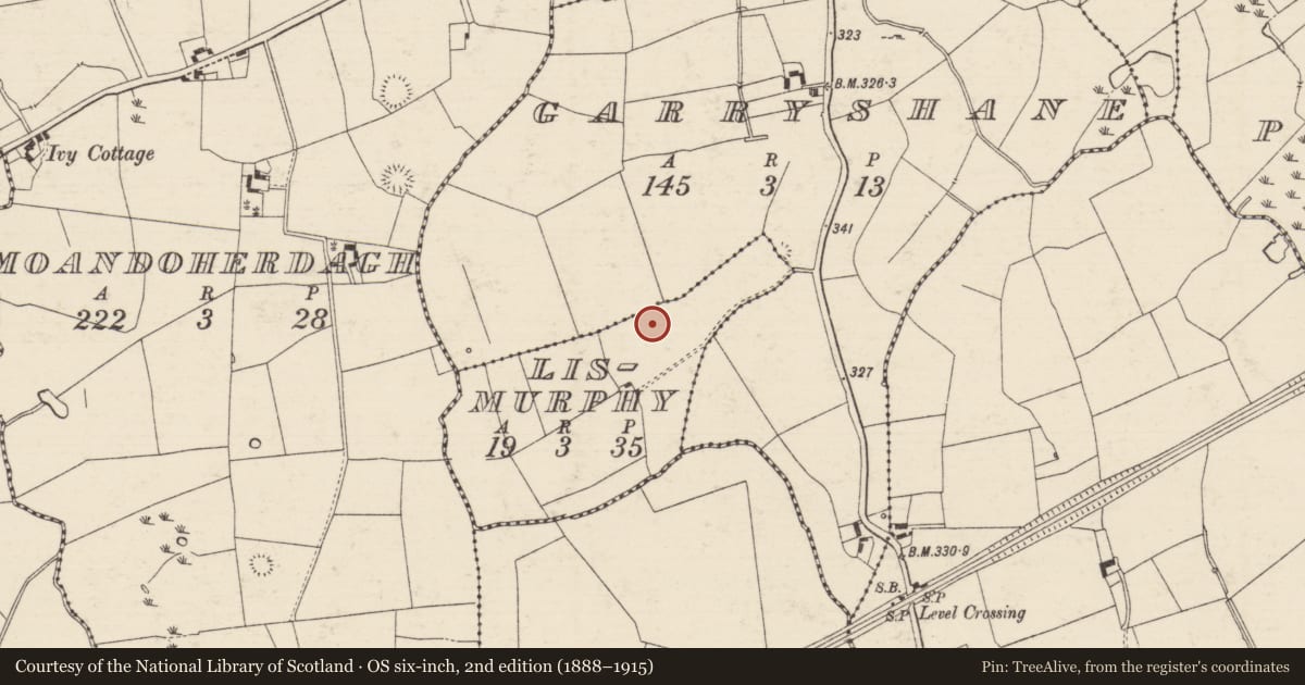 Ordnance Survey six-inch map, 2nd edition (1888–1915) covering the location of Enclosure, Lismurphy, County Tipperary South, with a pin at the register's coordinates