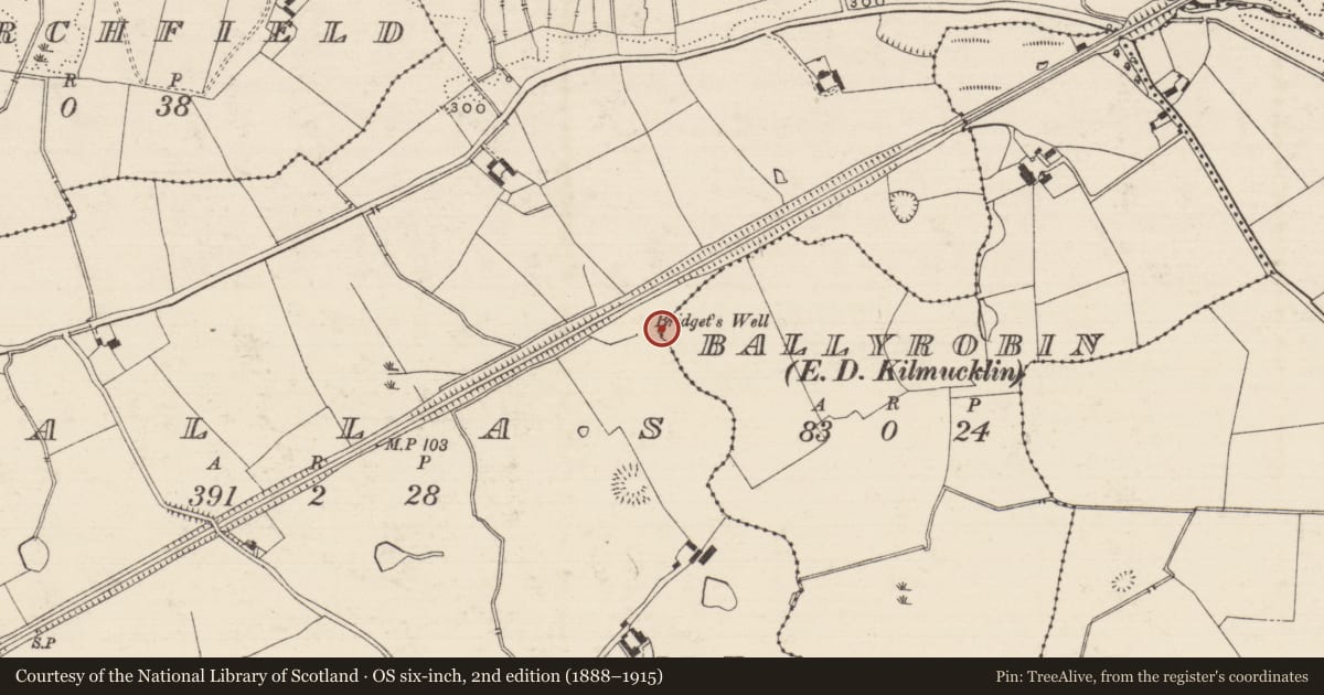 Ordnance Survey six-inch map, 2nd edition (1888–1915) covering the location of Ritual site - holy well, Pallas (Donohill Par.), County Tipperary South, with a pin at the register's coordinates