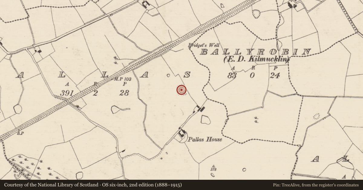 Ordnance Survey six-inch map, 2nd edition (1888–1915) covering the location of Ringfort - rath, Pallas (Donohill Par.), County Tipperary South, with a pin at the register's coordinates