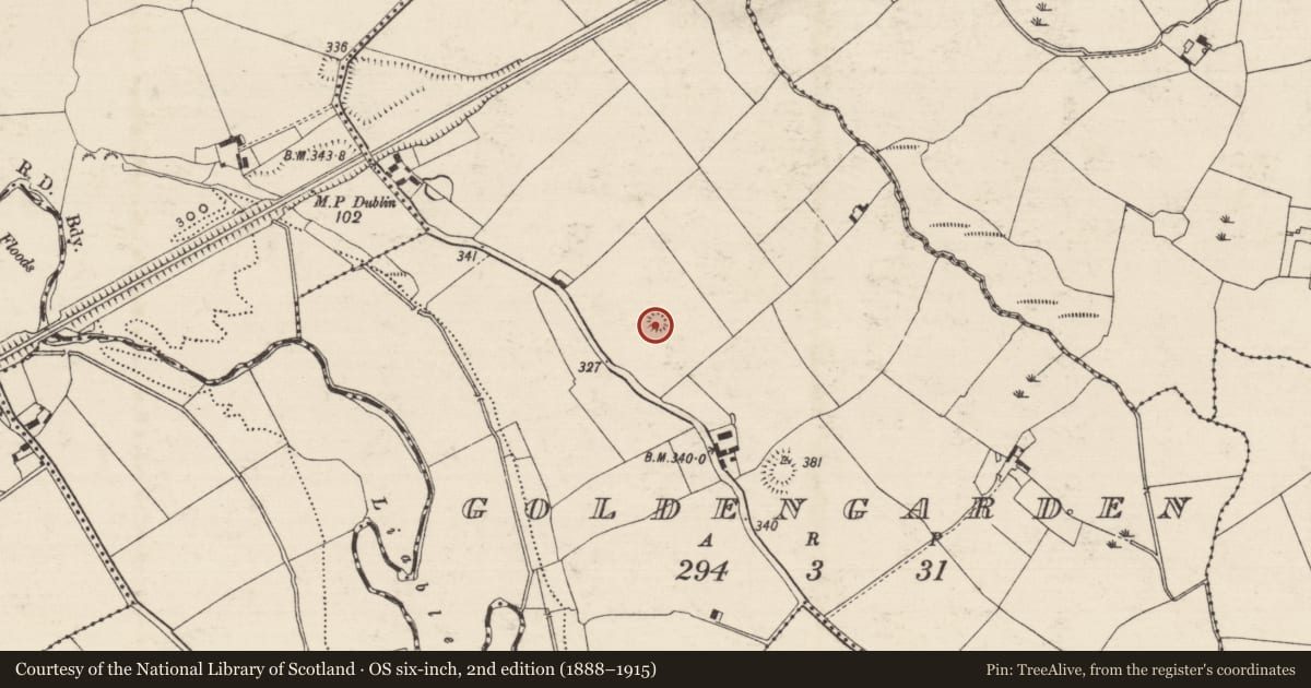 Ordnance Survey six-inch map, 2nd edition (1888–1915) covering the location of Enclosure, Goldengarden, County Tipperary South, with a pin at the register's coordinates