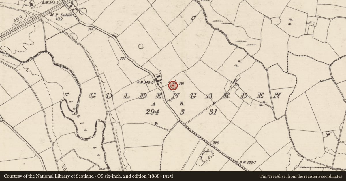 Ordnance Survey six-inch map, 2nd edition (1888–1915) covering the location of Enclosure, Goldengarden, County Tipperary South, with a pin at the register's coordinates