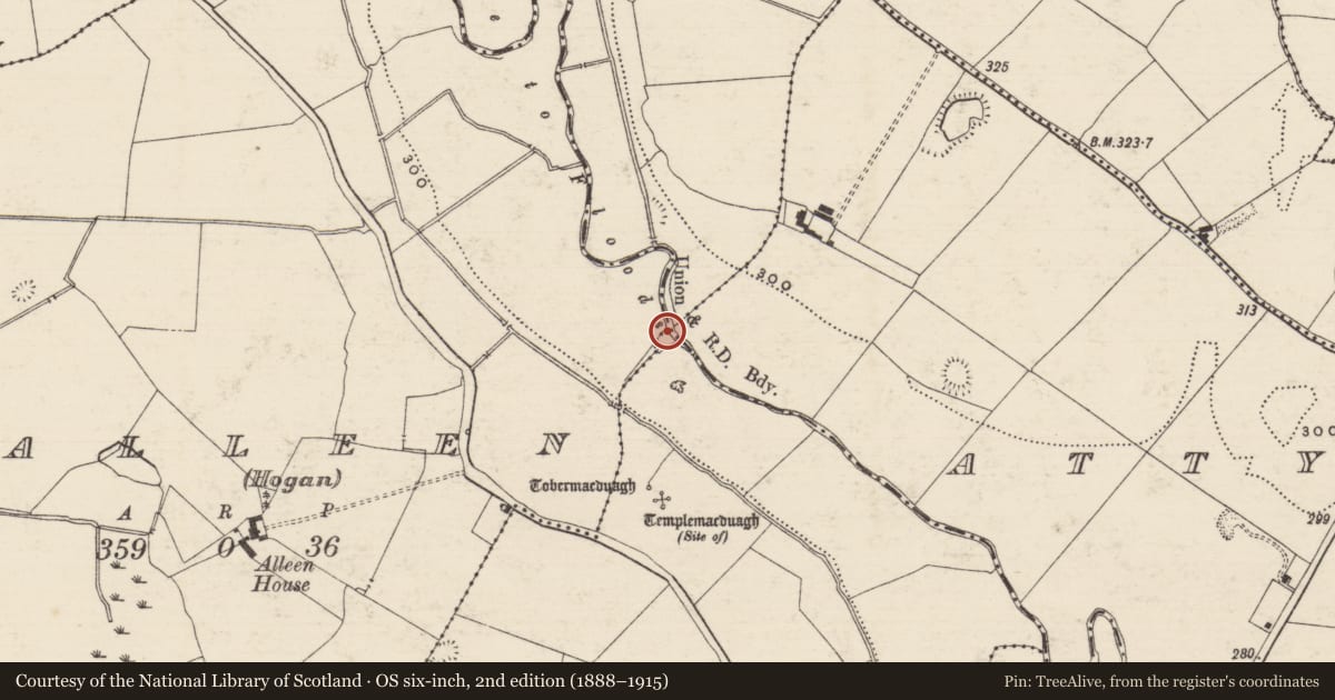 Ordnance Survey six-inch map, 2nd edition (1888–1915) covering the location of Bridge, County Tipperary South, with a pin at the register's coordinates