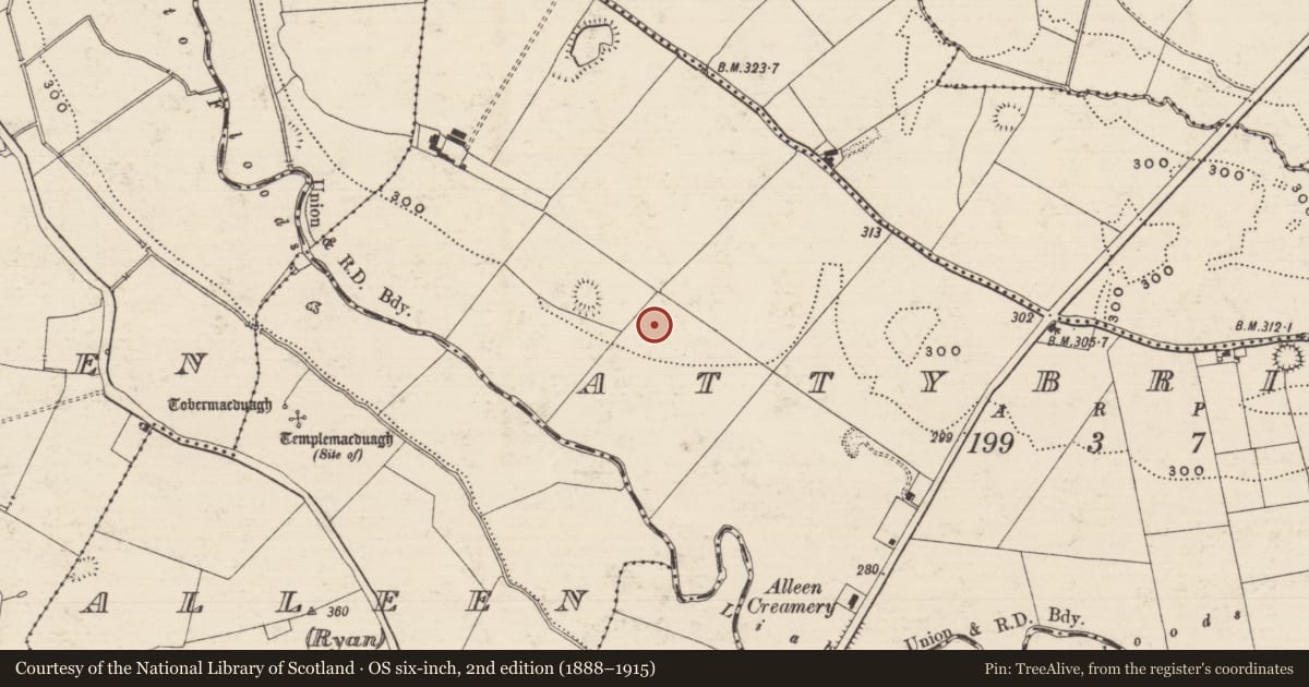 Ordnance Survey six-inch map, 2nd edition (1888–1915) covering the location of Cairn - unclassified, Attybrick, County Tipperary South, with a pin at the register's coordinates