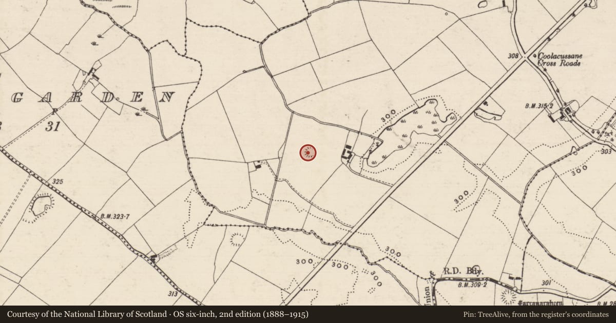 Ordnance Survey six-inch map, 2nd edition (1888–1915) covering the location of Enclosure, Coolacussane, County Tipperary South, with a pin at the register's coordinates