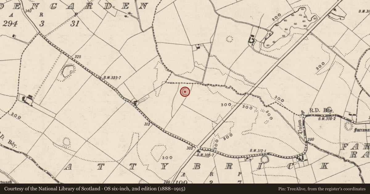 Ordnance Survey six-inch map, 2nd edition (1888–1915) covering the location of Enclosure, Goldengarden, County Tipperary South, with a pin at the register's coordinates