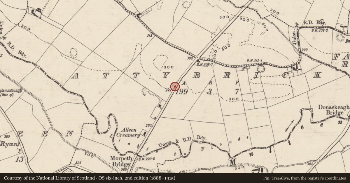 Ordnance Survey six-inch map, 2nd edition (1888–1915) covering the location of Enclosure, Attybrick, County Tipperary South, with a pin at the register's coordinates