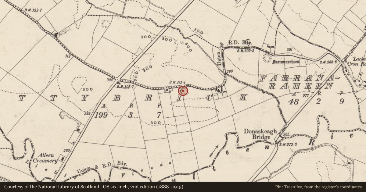 Ordnance Survey six-inch map, 2nd edition (1888–1915) covering the location of Enclosure, Attybrick, County Tipperary South, with a pin at the register's coordinates