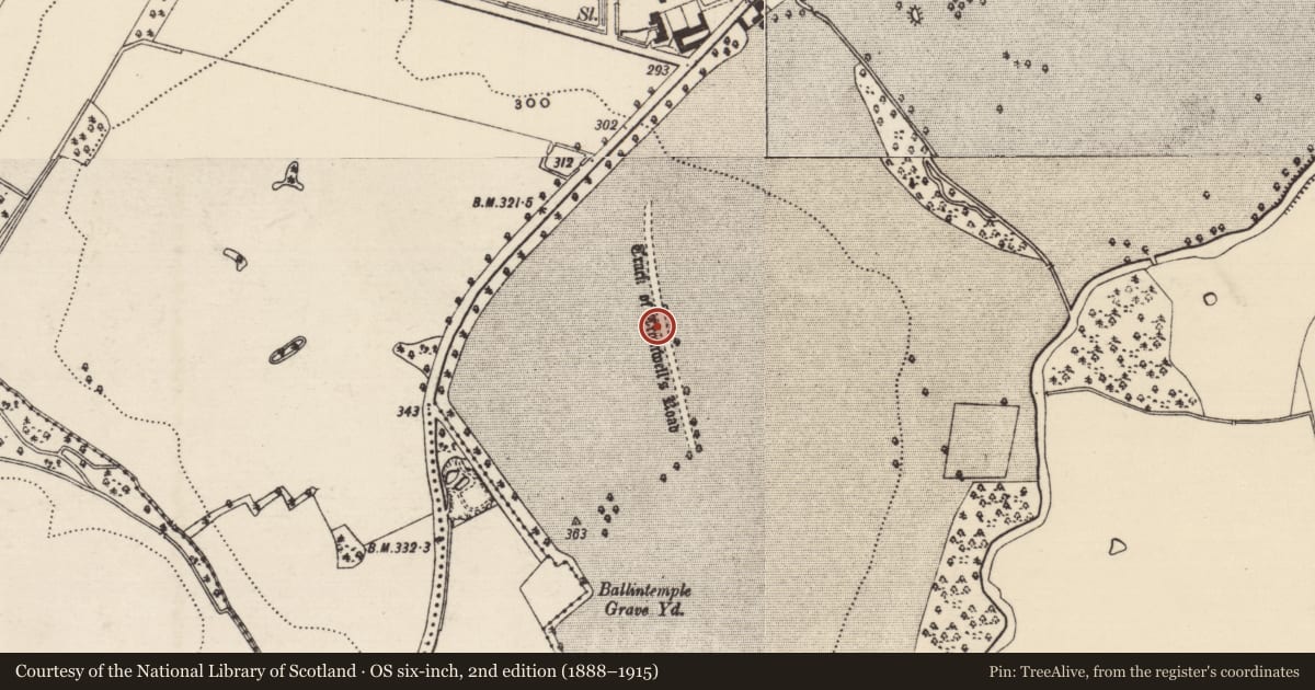 Ordnance Survey six-inch map, 2nd edition (1888–1915) covering the location of Road - road/trackway, Dundrum, County Tipperary South, with a pin at the register's coordinates