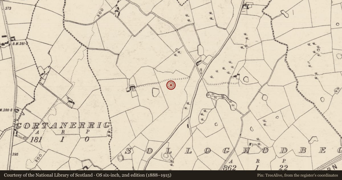 Ordnance Survey six-inch map, 2nd edition (1888–1915) covering the location of Enclosure, Solloghodbeg, County Tipperary South, with a pin at the register's coordinates