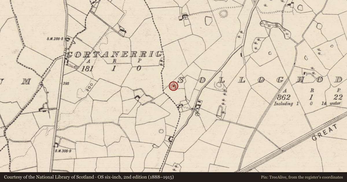 Ordnance Survey six-inch map, 2nd edition (1888–1915) covering the location of Enclosure, Solloghodbeg, County Tipperary South, with a pin at the register's coordinates