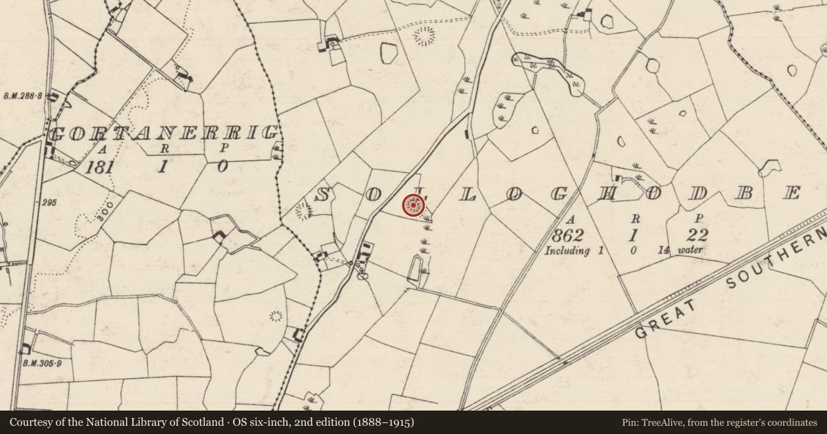 Ordnance Survey six-inch map, 2nd edition (1888–1915) covering the location of Enclosure, Solloghodbeg, County Tipperary South, with a pin at the register's coordinates