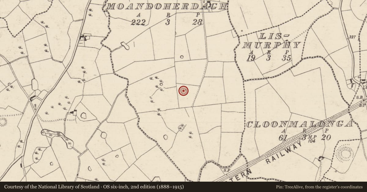 Ordnance Survey six-inch map, 2nd edition (1888–1915) covering the location of Enclosure, Moandoherdagh, County Tipperary South, with a pin at the register's coordinates