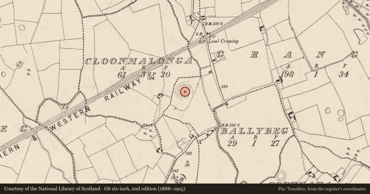 Ordnance Survey six-inch map, 2nd edition (1888–1915) covering the location of Enclosure, Grange (Donohill Par.), County Tipperary South, with a pin at the register's coordinates