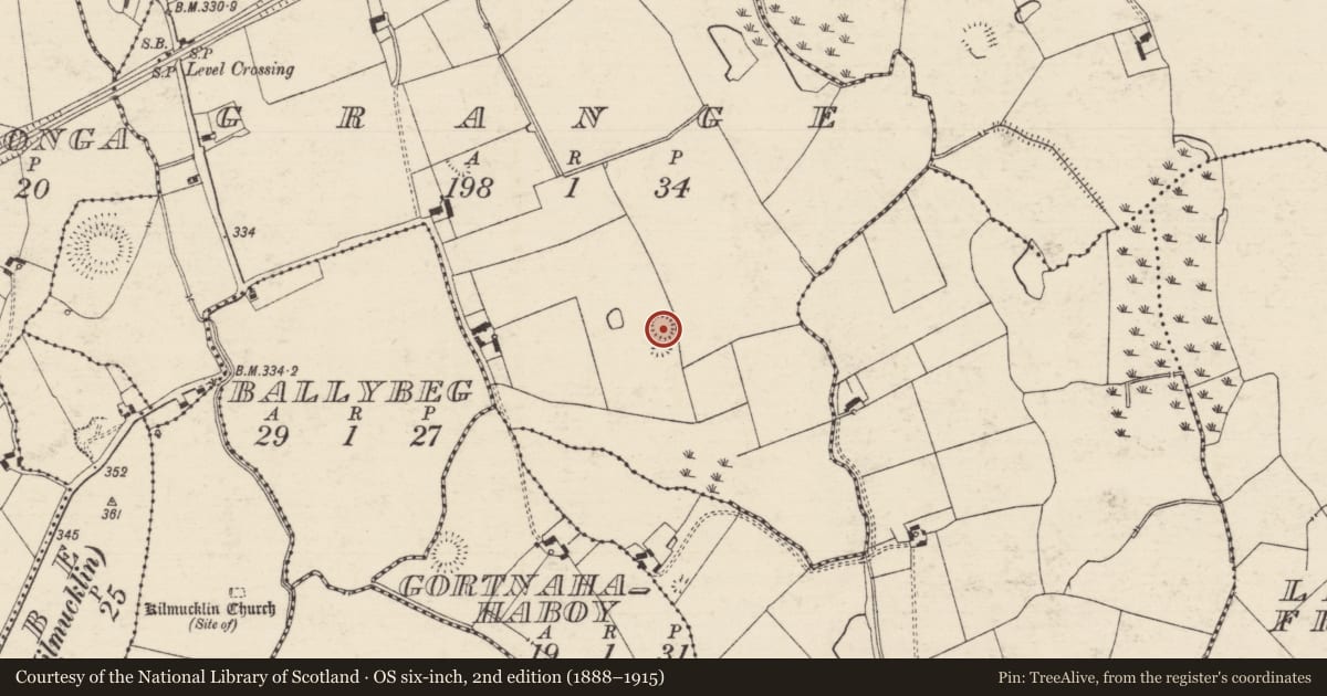 Ordnance Survey six-inch map, 2nd edition (1888–1915) covering the location of Enclosure, Grange (Donohill Par.), County Tipperary South, with a pin at the register's coordinates