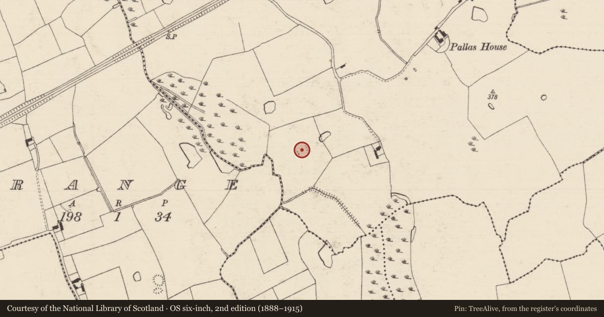 Ordnance Survey six-inch map, 2nd edition (1888–1915) covering the location of Enclosure, Pallas (Donohill Par.), County Tipperary South, with a pin at the register's coordinates