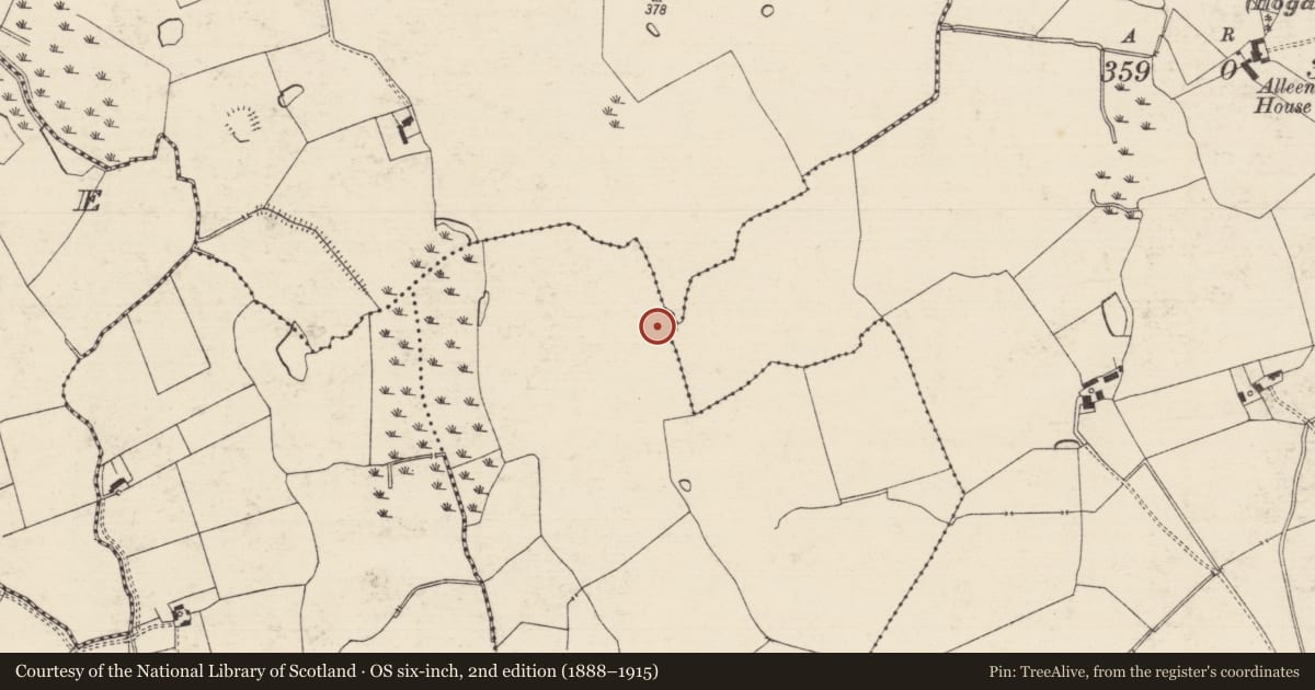 Ordnance Survey six-inch map, 2nd edition (1888–1915) covering the location of Enclosure, County Tipperary South, with a pin at the register's coordinates