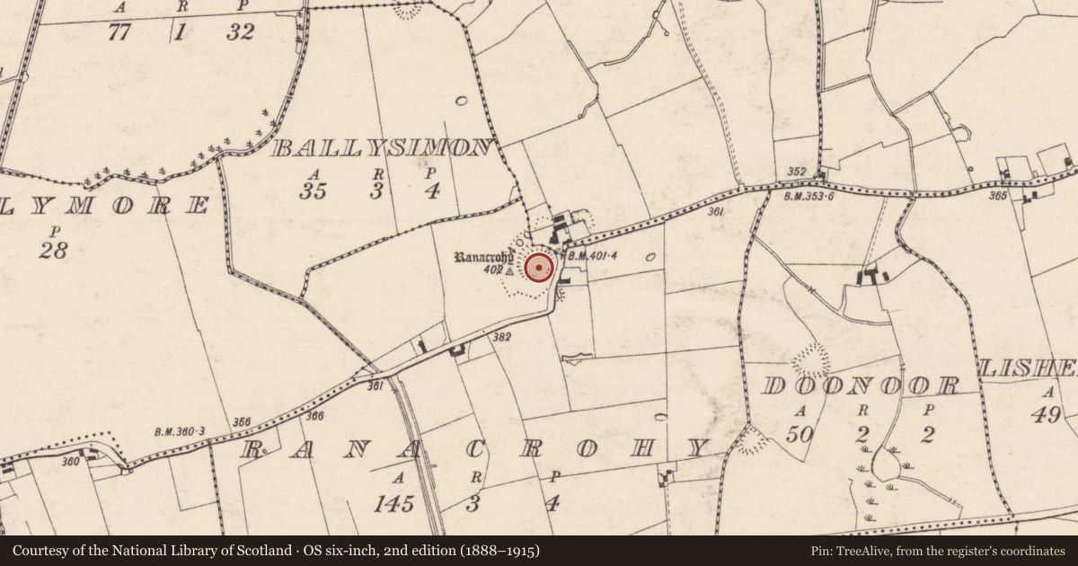 Ordnance Survey six-inch map, 2nd edition (1888–1915) covering the location of Castle - ringwork and bailey, Ballydonagh, Ranacrohy (Kilmucklin Par.), County Tipperary South, with a pin at the register's coordinates