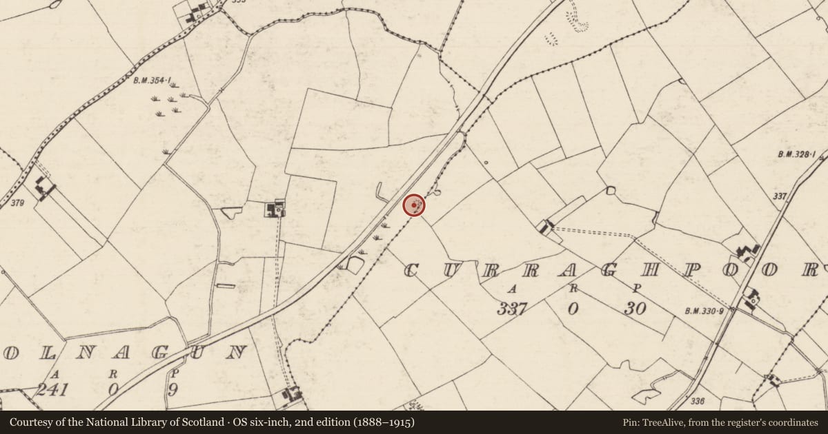 Ordnance Survey six-inch map, 2nd edition (1888–1915) covering the location of Barrow - stepped barrow, Coolnagun (Rathlynin Par.), County Tipperary South, with a pin at the register's coordinates