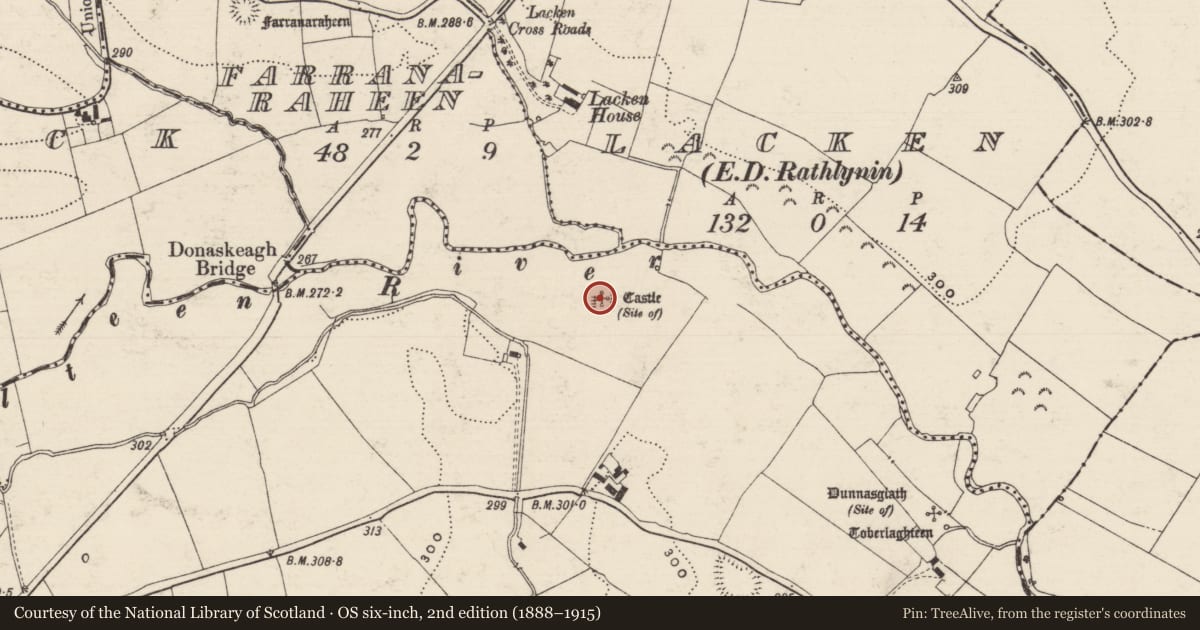 Ordnance Survey six-inch map, 2nd edition (1888–1915) covering the location of Enclosure, Donaskeagh, County Tipperary South, with a pin at the register's coordinates