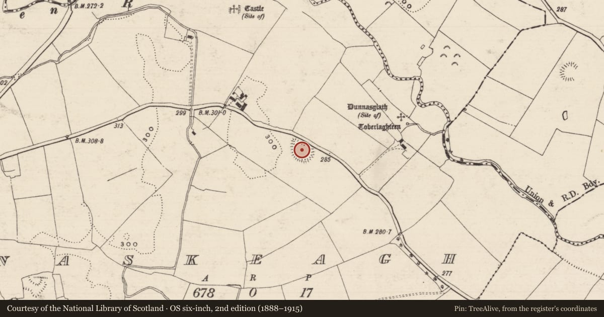 Ordnance Survey six-inch map, 2nd edition (1888–1915) covering the location of Enclosure, Donaskeagh, County Tipperary South, with a pin at the register's coordinates