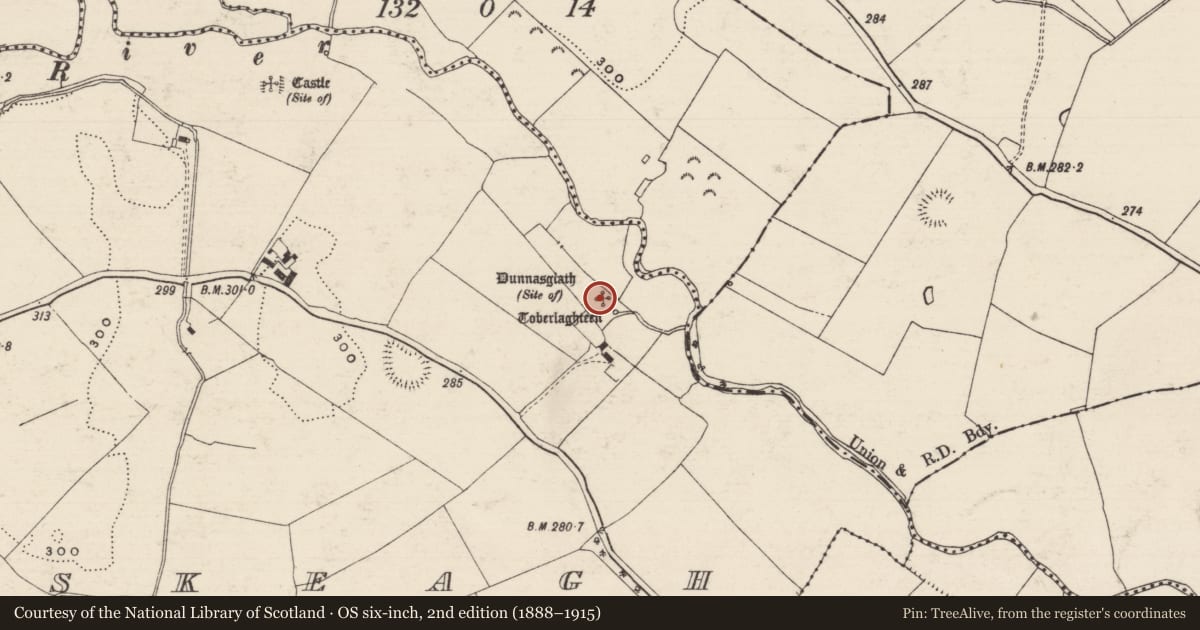 Ordnance Survey six-inch map, 2nd edition (1888–1915) covering the location of Church, Donaskeagh, County Tipperary South, with a pin at the register's coordinates