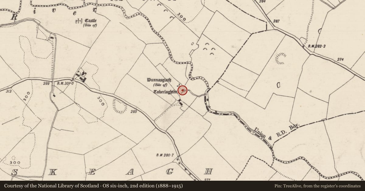 Ordnance Survey six-inch map, 2nd edition (1888–1915) covering the location of Ritual site - holy well, Donaskeagh, County Tipperary South, with a pin at the register's coordinates