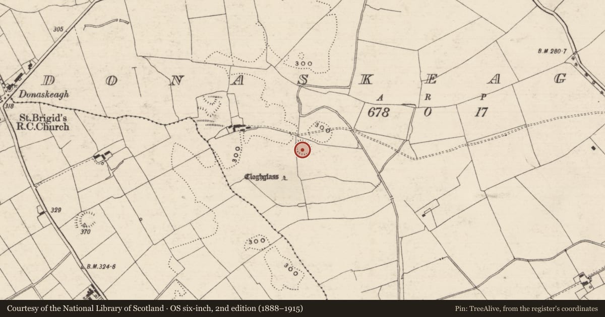 Ordnance Survey six-inch map, 2nd edition (1888–1915) covering the location of Enclosure, Donaskeagh, County Tipperary South, with a pin at the register's coordinates
