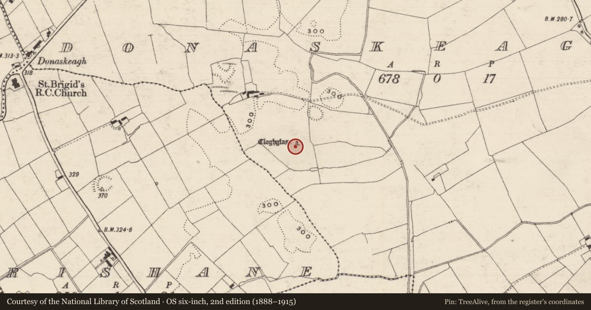 Ordnance Survey six-inch map, 2nd edition (1888–1915) covering the location of Standing stone, Donaskeagh, County Tipperary South, with a pin at the register's coordinates
