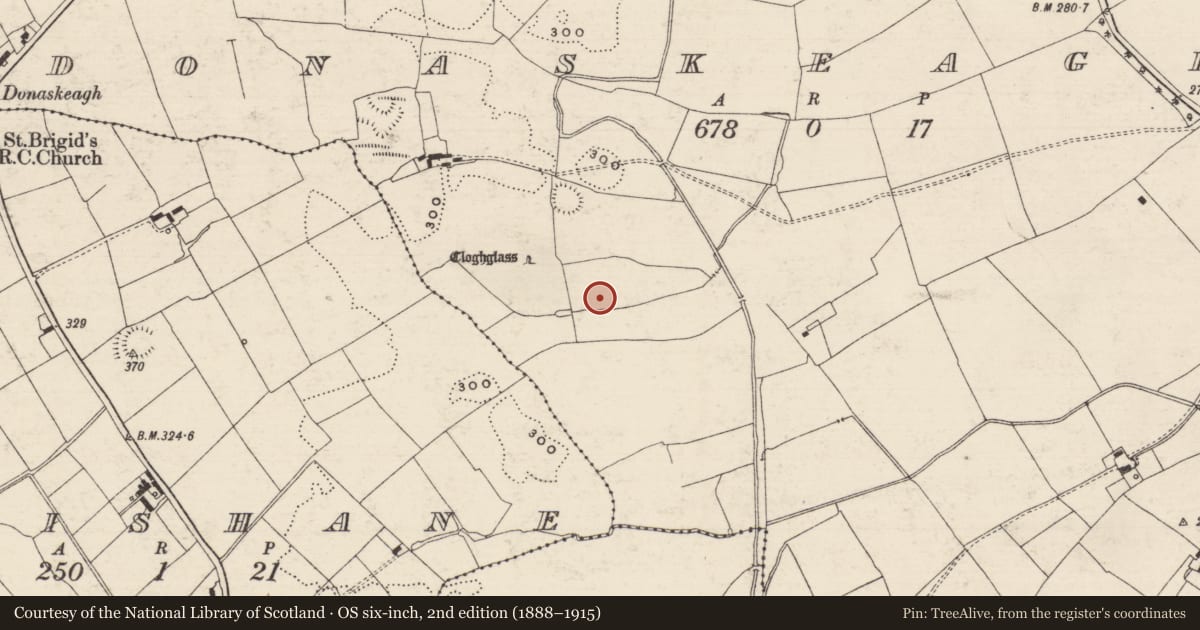 Ordnance Survey six-inch map, 2nd edition (1888–1915) covering the location of Moated site, Donaskeagh, County Tipperary South, with a pin at the register's coordinates