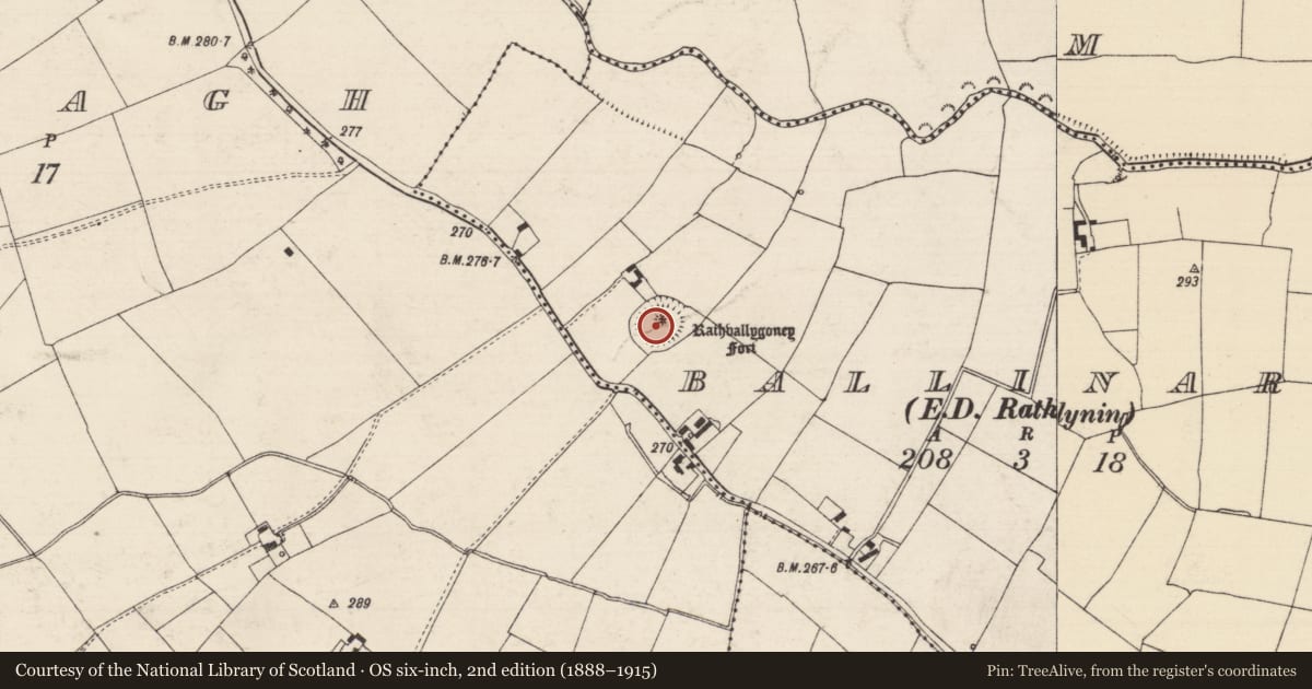 Ordnance Survey six-inch map, 2nd edition (1888–1915) covering the location of Ringfort - rath, Ballinard (Rathlynin Par.), County Tipperary South, with a pin at the register's coordinates