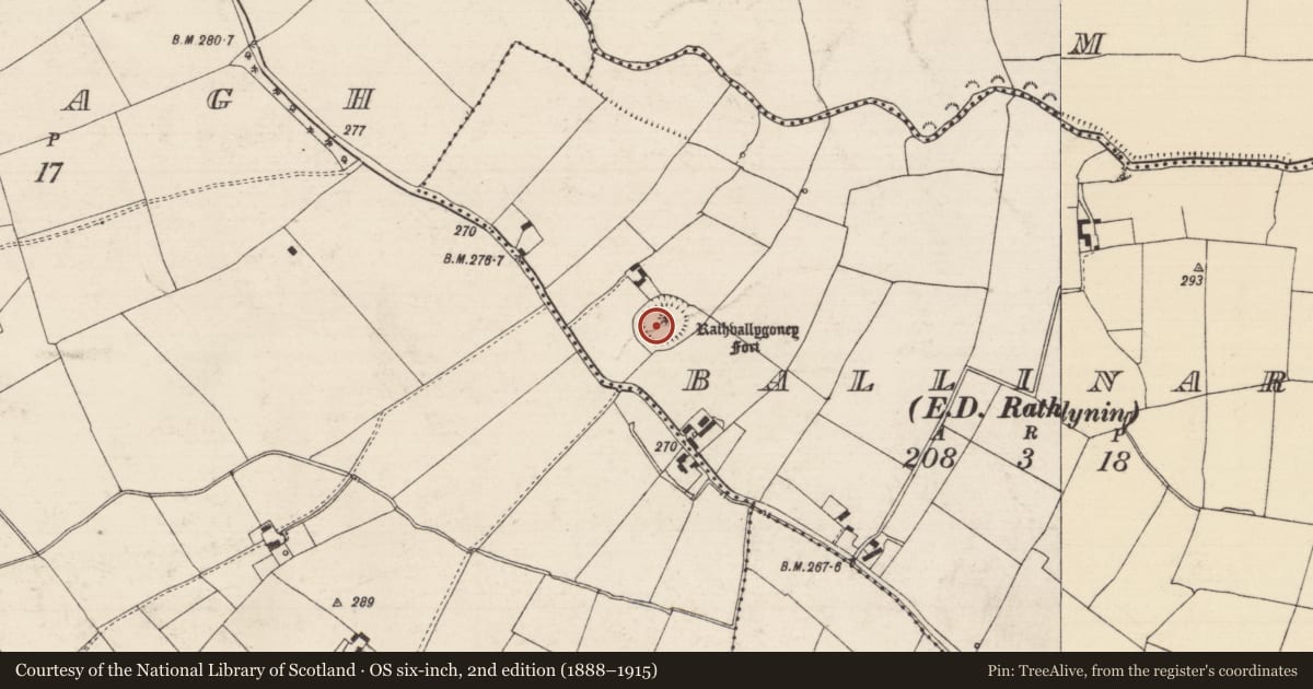 Ordnance Survey six-inch map, 2nd edition (1888–1915) covering the location of Mound, Ballinard (Rathlynin Par.), County Tipperary South, with a pin at the register's coordinates