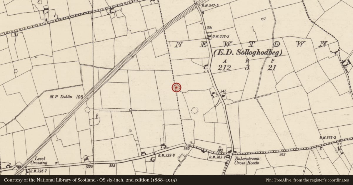 Ordnance Survey six-inch map, 2nd edition (1888–1915) covering the location of Enclosure, Kyle (Solloghodbeg Par.), Newtown (Solloghodbeg Par.), County Tipperary South, with a pin at the register's coordinates