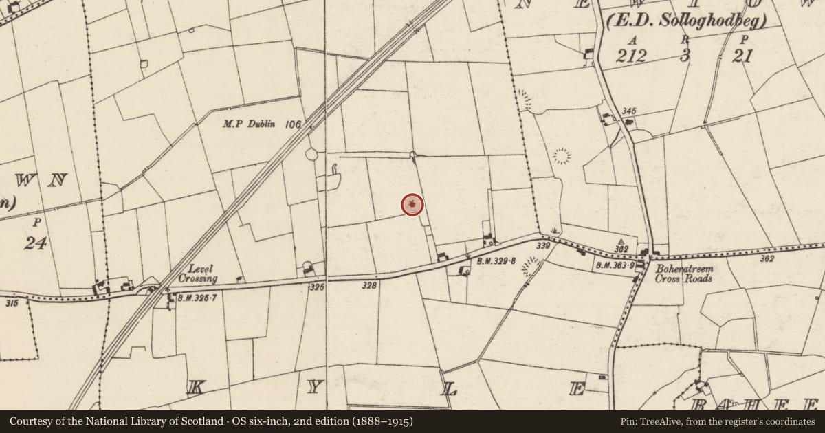 Ordnance Survey six-inch map, 2nd edition (1888–1915) covering the location of Enclosure, Kyle (Solloghodbeg Par.), County Tipperary South, with a pin at the register's coordinates