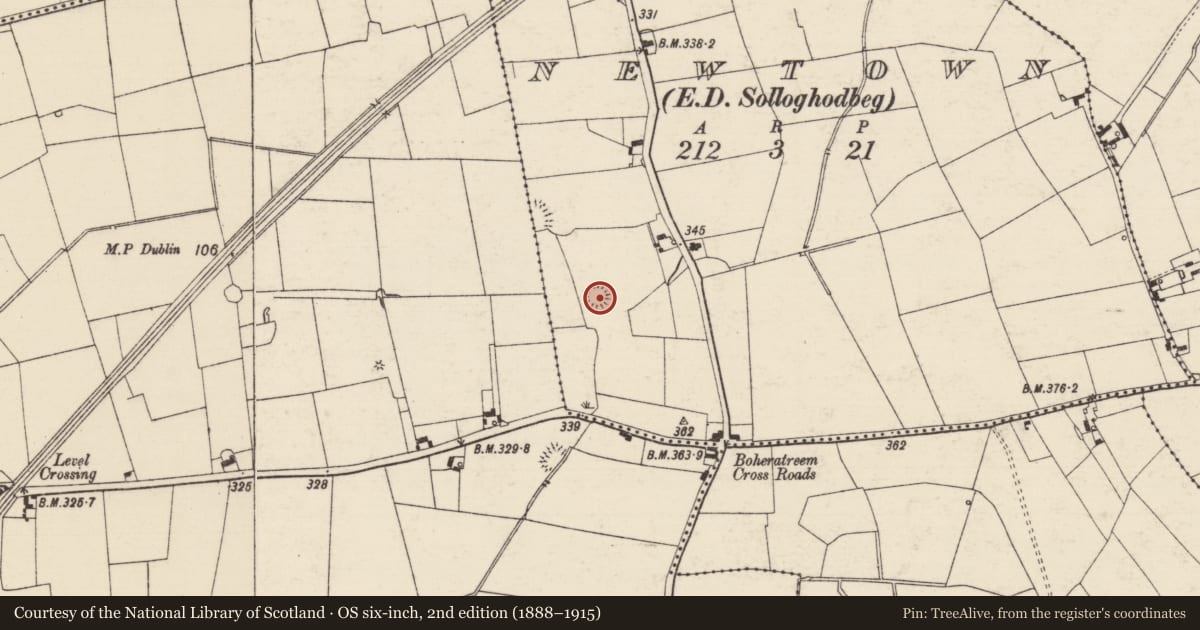 Ordnance Survey six-inch map, 2nd edition (1888–1915) covering the location of Enclosure, Newtown (Solloghodbeg Par.), County Tipperary South, with a pin at the register's coordinates
