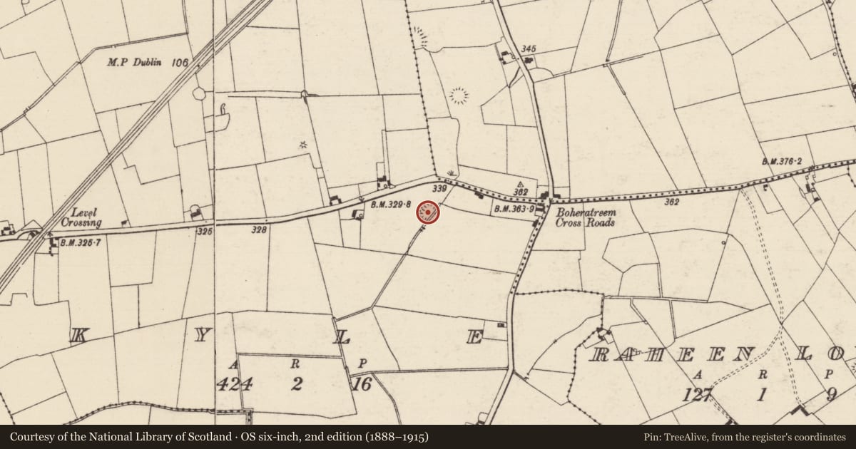 Ordnance Survey six-inch map, 2nd edition (1888–1915) covering the location of Enclosure, Kyle (Solloghodbeg Par.), County Tipperary South, with a pin at the register's coordinates