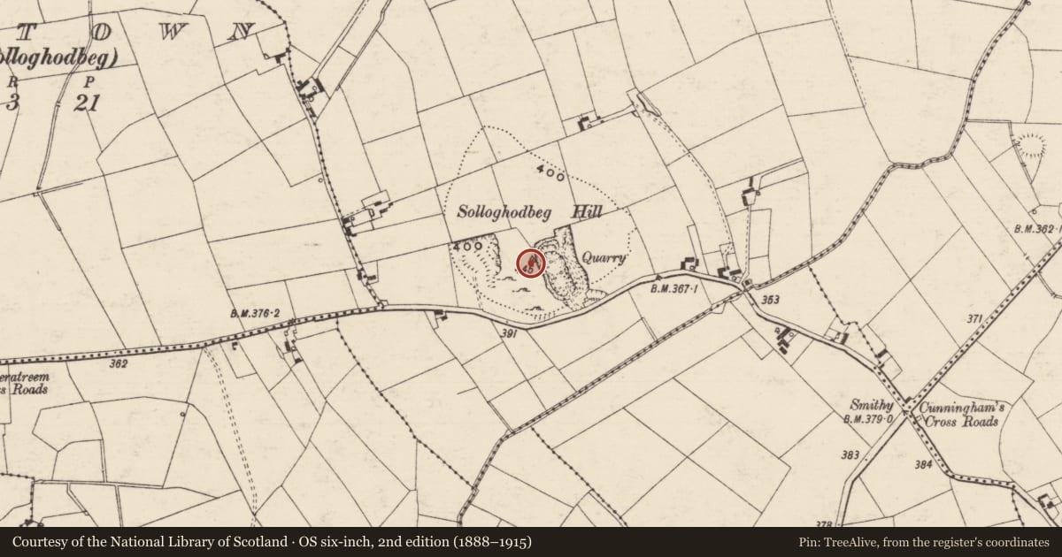 Ordnance Survey six-inch map, 2nd edition (1888–1915) covering the location of Castle - unclassified, Solloghodbeg, County Tipperary South, with a pin at the register's coordinates