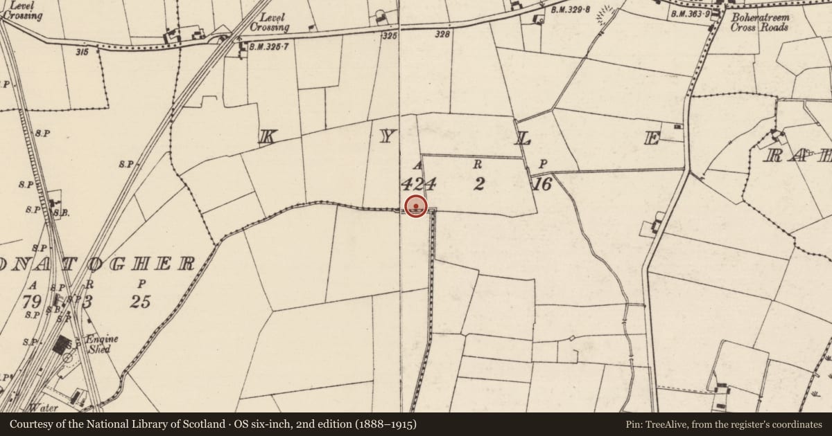 Ordnance Survey six-inch map, 2nd edition (1888–1915) covering the location of Enclosure, Carron (Solloghodbeg Par.), Kyle (Solloghodbeg Par.), County Tipperary South, with a pin at the register's coordinates