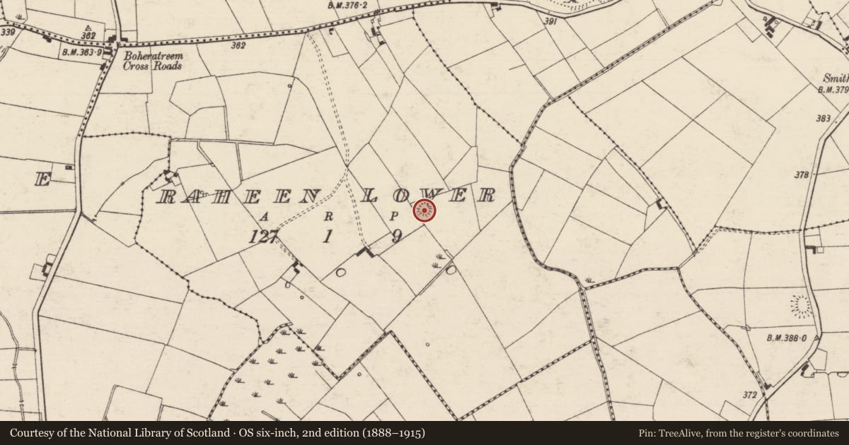 Ordnance Survey six-inch map, 2nd edition (1888–1915) covering the location of Enclosure, Raheen Lower, County Tipperary South, with a pin at the register's coordinates