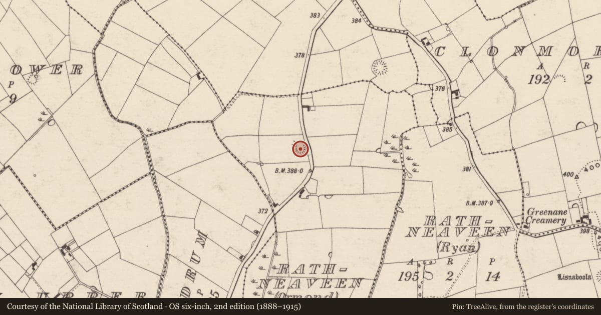 Ordnance Survey six-inch map, 2nd edition (1888–1915) covering the location of Enclosure, Rathneaveen (Ormond), County Tipperary South, with a pin at the register's coordinates